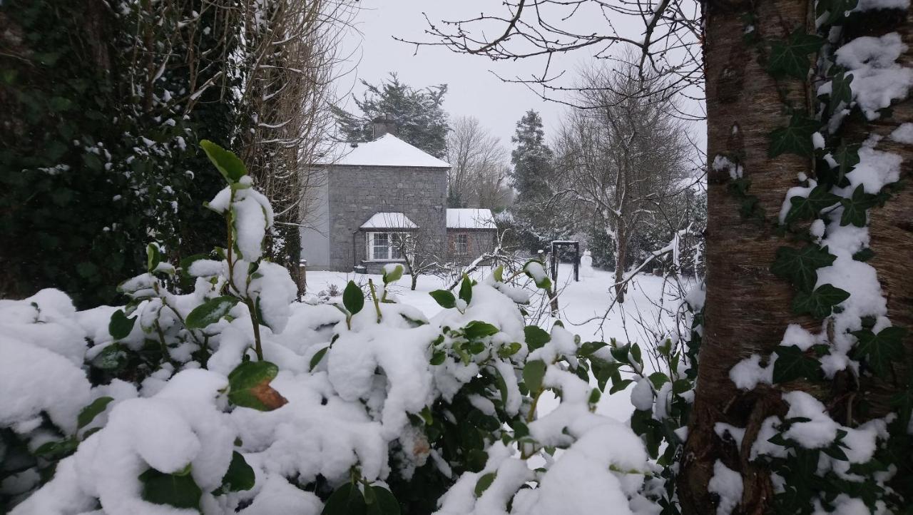 Knockaderry House Bed and Breakfast Ennis Eksteriør billede